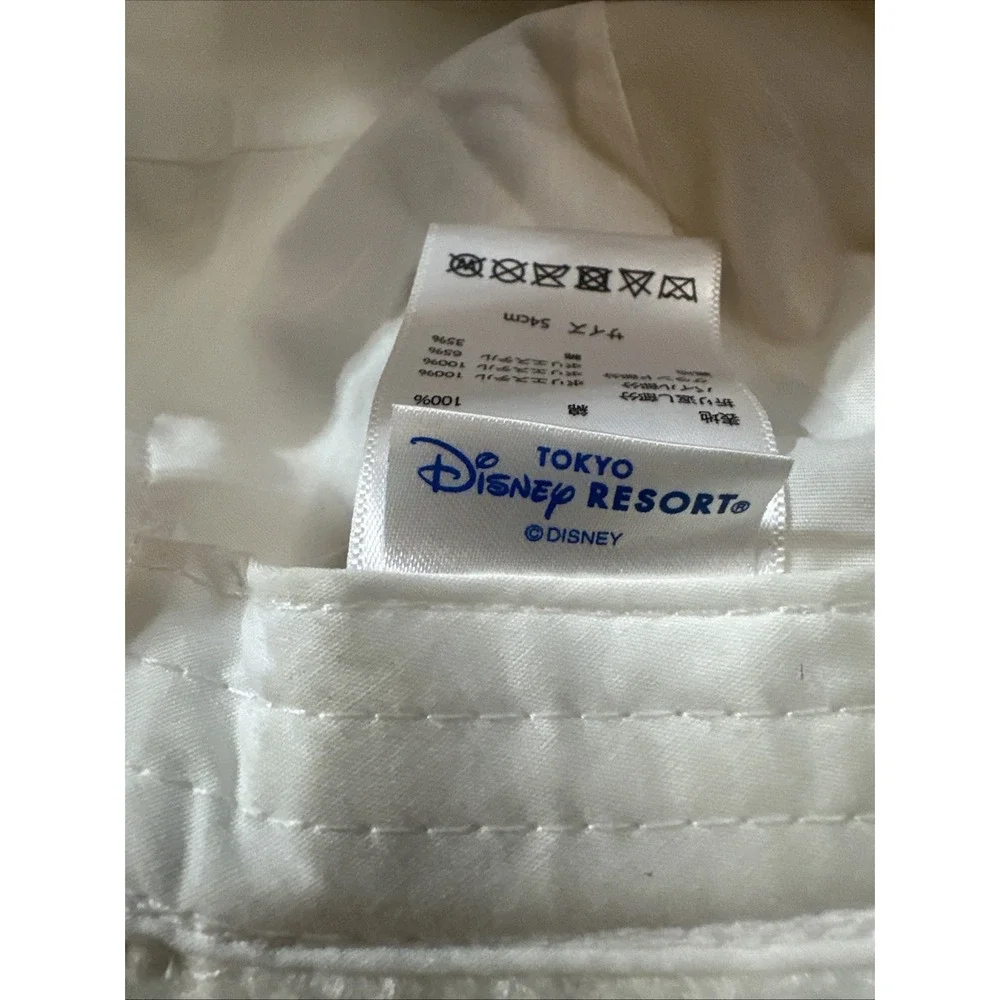 Disney tokyo resort